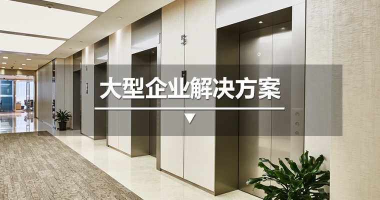 大型企業解決方案